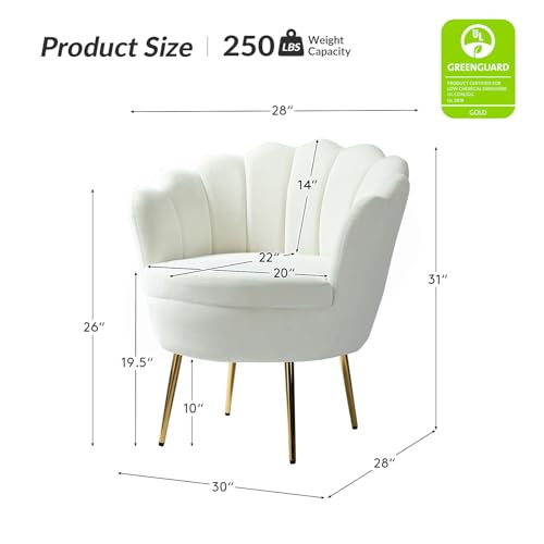 Image of HULALA HOME Modern Velvet Accent Chairs Set of 2 with Shell Shaped Back, Cute Living Room Bedroom Armchairs Sofa Chairs with Gold Legs, Comfy Upholstered Vanity Chairs for Makeup Room, Ivory
