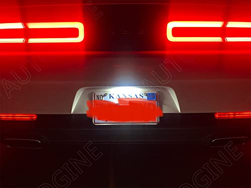 Kit de luces LED interiores blancas AUTOGINE 16 piezas miniatura 7