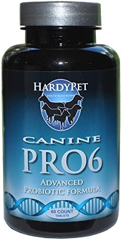 Canine PRO6 Probiotic Made Just for Dogs
