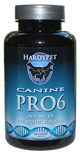 HardyPet Canine PRO6 Probiotic Made Just for Dogs