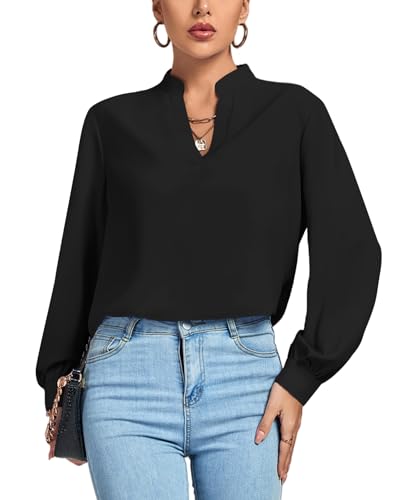 LYANER Women's V Neck Shirred Long Sleeve Office Elegant Tunic Blouse Top