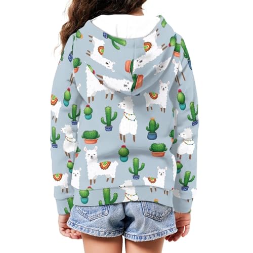 Image of Unisex Zipper Sweatshirt Boys Girls Hooded with 2 Pocket Pullover Hoodies for 6-16Y Kids