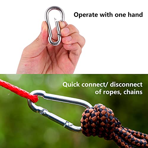 12 Pcs Small Carabiner Clip - Stainless Steel Spring Snap Hook For Bird Feeders Or Dog Leash & Harness, Quick Link Keychain(M4,40Mm, Can Hold 150Lbs) #TOP2