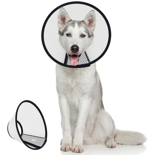 Image of Dog Cone After Surgery, Adjustable Pet Recovery Collar for Dogs and Cats, Plastic Elizabethan Neck E-Collar Stop Licking Wounds (XXXL)