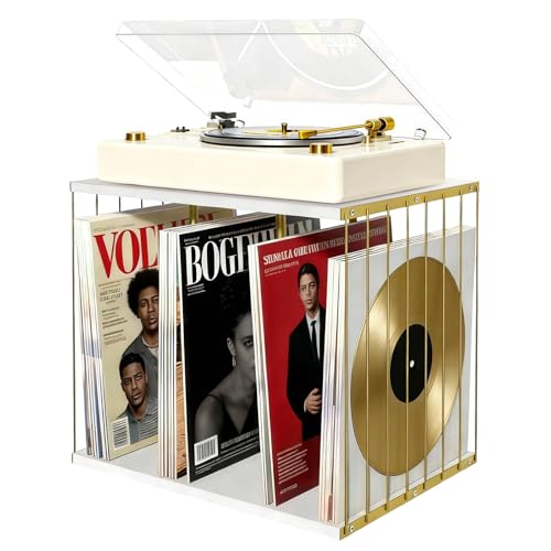 Almacenamiento de discos de vinilo para evitar que se doblen 2
