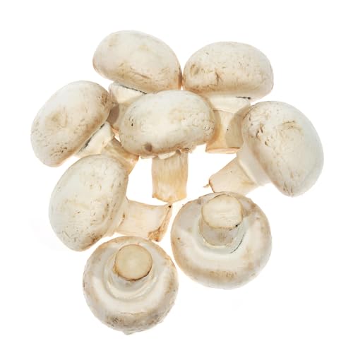 semillas de hongos - hortalizas tradicionales plantas planta de interior de cocina de jardín de hierbas Hierbas de cocina, planta ajedrea Macizo de hierbas, 120pcs