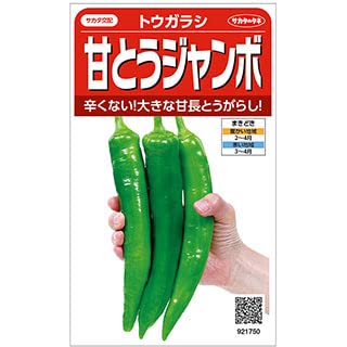 Amazon.co.jp: ししとう 種 【 甘とうジャンボ 】 種子 小袋