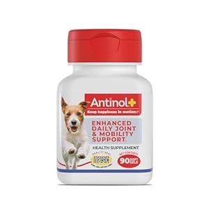 Plus, Mobility, Hip, and Joint Supplement for Dogs, Green-Lipped Mussels and Krill Oil – Dog Joint Supplement, Better and Faster Than Glucosamine and Chondroitin, 90 Soft Gels