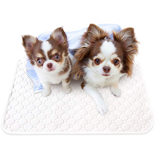 INULABO(イヌラボ) 洗える ペットシーツ ワイドサイズ おしっこマット ペットマット 丸ごと洗える 繰り返し使える 【健康状態の変化に気づける】 (ワイド(2枚セット), ホワイト)