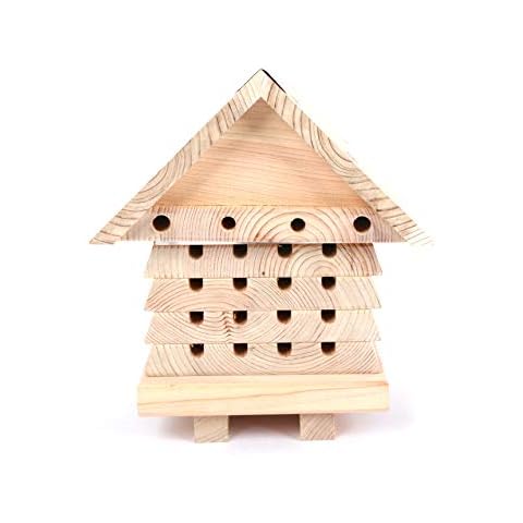 Wildlife World Solitärischer Bienenstock mit Plexiglas-Sichtfenster Cover