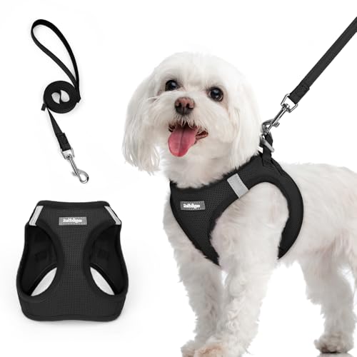 rabbitgoo Harnais Chien Petite Taille avec Laisse Réfléchissant, Harnais Chiot en Maille Souple, Gilet Réglable Facile à Mettre, Arnet pour Chien Petit et Moyen pour...