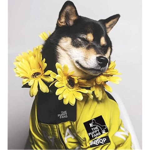 “The Puppy Fans”Waterproof Dog Jacket for Small Medium Dog Puppy Raincoat with Hoodie Dog Winter Coat Windbreaker (Yellow, 4XL) Cover