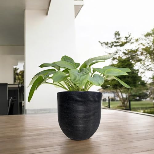 Image of Amazon Brand - Umi 10 Inch Large Plastic Planter Pot for Indoor Outdoor Plants | Big Size Garden Gamla UV Resistant Polymer Flower Pot | Black Decorative Pot for Balcony, Garden, Terrace & Home Decor