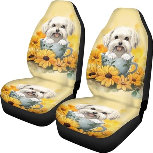 Housse de siège de voiture lavable pour éliminer les odeurs de chien et taches sur SUV
