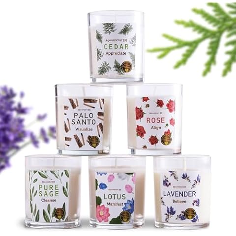 Magnificent 101 Long Lasting Manifestation Steps Set of 6 Smudge Candles | 3.5 Oz Each - 84 Hour Burn | All Natural Soy Wax Candles with Cedar, Palo Santo, Pure Sage, Lotus, Rose & Lavender Cover