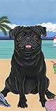 Best of Breed