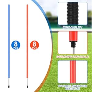16 Pcs Dog Agility Training Poles Equipment Portable Weave Poles Dog Agility Slalom Set Dog Training Park Exercise Tool Agility Hurdle Pole, Blue and Orange for Dog Obstacle Course Backyard 16 Pcs Dog Agility Training Poles Equipment Portable Weave Poles Dog Agility Slalom Set Dog Training Park Exercise Tool Agility Hurdle Pole, Blue and Orange for Dog Obstacle Course Backyard