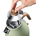 DeLonghi KBOV 2001.GR Electrical Kettle - Electric Kettles (50/60 Hz)