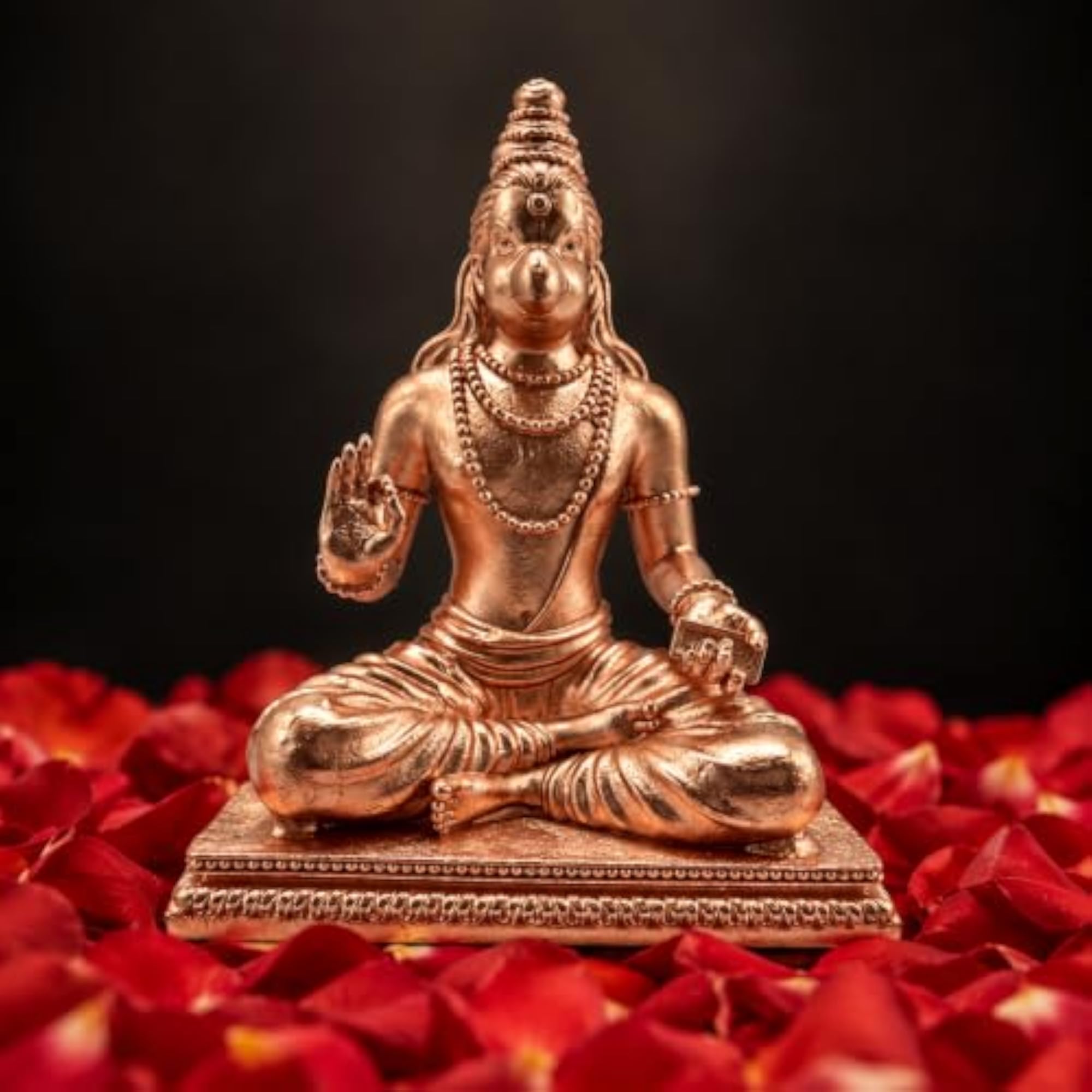 Suka Brahma Maharishi Idol
