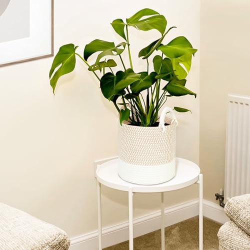 HDRNT Aufbewahrungskorb Geflochten Baumwollseil, Körbchen Wickeltisch Organizer Korb,Stapelbare Speicher Storage Basket, Aufbewahrung Körbe für Kinderzimmer Wohnzimmer Bad Aufbewahrungsbox 25 * 25cm