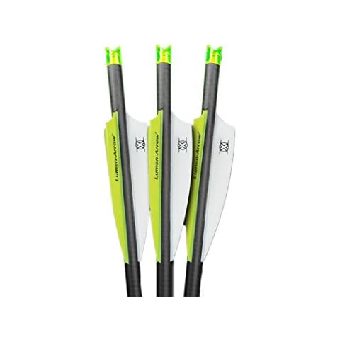 Lumenok Lumen-Arrow 20-Inch Carbon Bolts with Crescent Bolt End (3-Pack), Green Cover
