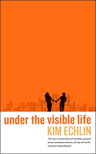 Under the Visible Life view 2