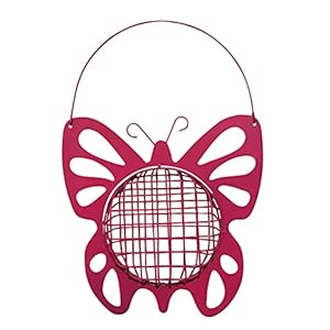 iplusmile Vogel Accessoire Outdoor Vogelvoeder Opknoping Vogelvoer Tool Decoratieve Vogelvoer Container