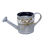 Deko blumenvase, Bauernhaus Deko, Dekovase, Metall Blumentopf, deko eimer, mini eimer, landhausstil vase, Dies ist eine klassische metall pflanzer eimer, die perfekt für pflanzen up kräuter, lampen oder kleine pflanzen.