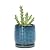 D'vine Dev Ceramic Beaded Stoneware Planter Pot - Flower Pot with Drainage Holes and Saucers, 27-C