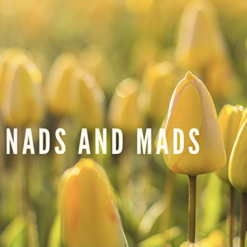 Nads and Mads cover art