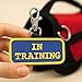 Service Dog in Training Identification Patch Tag | Clips on Service Dog Vest, Harness, Collar, Leash or Carrier | Includes FiveFederal Law Handout Cards