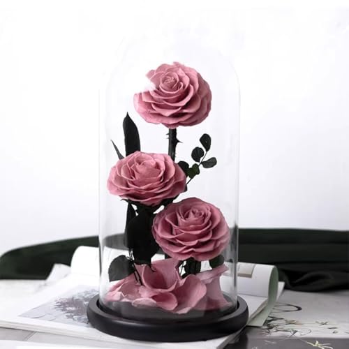 Regalos De Rosas Preservadas Para Mujer Flores Eternas De Larga Duración En Una Campana De Cristal Rosas Eternas, Para Regalos De San Valentín, El Día De La Madre Y Cumpleaños(Milk tea colour)