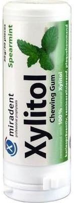 Xylitol Chew Gum Sprmnt 30 Ct