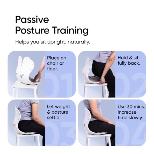 Image of Frido Orthotics Posture Corrector Seat for Back Support, Ergonomic Posture Correction Seat Cushion, Helps Relieve Back & Tailbone Pain, Supports Spine Alignment, Fits Most Chairs, Sofas & Car Seats