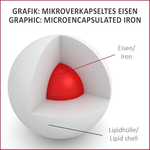 ALP NUTRITION Eisen Tropfen 30ml, Eisen hochdosiert Vitamin B12 Folsäure - Gut verträgliches Eisenpräparat als Alternative zu Eisentabletten bei Eisenmangel