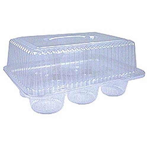 Oasis Supply 6-Compartment Cupcake Container with Hinged Lid, Clear