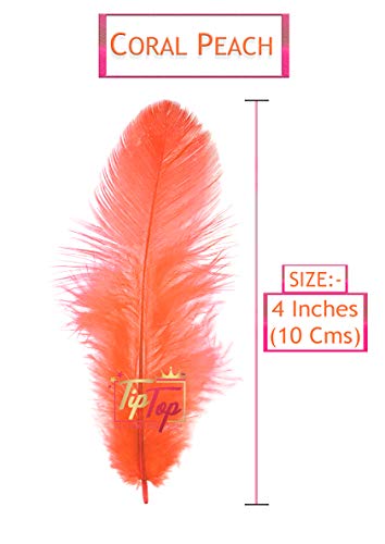 Image of Natural Dyed Feathers 10 cm (80 pieces) (Coral Peach)