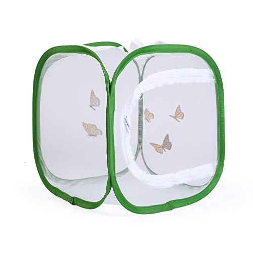Cage à insectes pour papillons RESTCLOUD filet de transport pliable de 30 cm