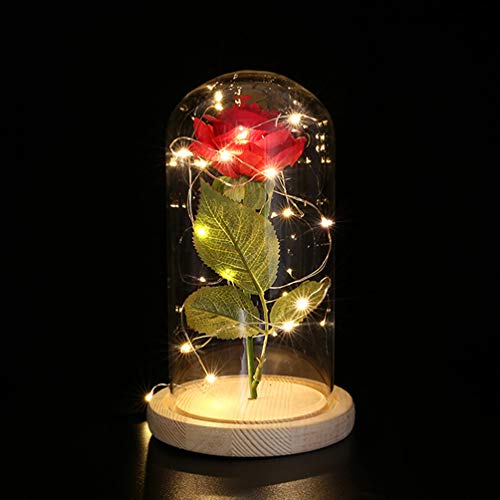 PIXNOR - flores de rosa de A Bela e a Fera, dura para sempre em redoma de vidro com luzes LED USB, m