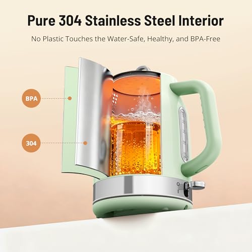 Image of Hot Tea Kettle Water Boiler with Thermometer, 1500W Fast Heating Stainless Steel Tea Pot, Cordless with LED Indicator, Auto Shut-Off & Boil Dry Protection