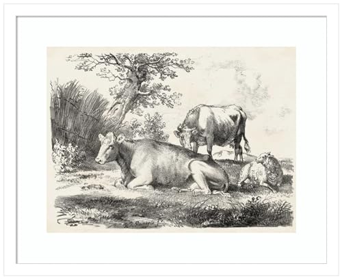 Amanti Art Framed Wall Art Print 17x21 Rural Charms IV,