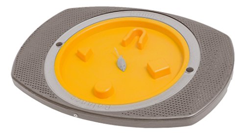 Sport-Thieme Balanco Kreisel Maus