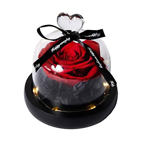 Flor Encantada Hyindoor Rosa Eterna con Luces LED Cover
