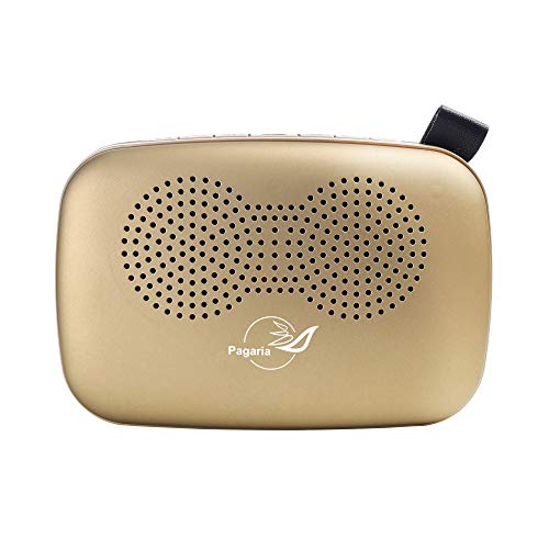 Image of PAGARIA Portable Radio & Alarm Clock Bluetooth Speaker with Remote /Alarm /USB /am /fm /SD Card /aux /Bluetooth Recording /mic Recording. (Golden), Standard (SAN101)