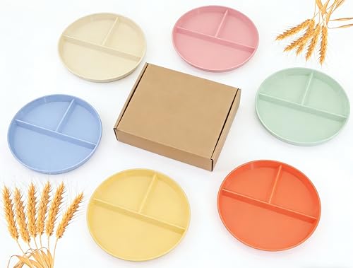falichchch 9-Inch Large Multicolor Wheat Straw Divided Plates – 6Pack Unbreakable 3-Compartment Plates for Portion Control & Healthy Eating Microwave & Dishwasher Safe – Eco-Friendly & Reusable (6)
