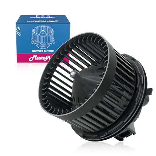 Blower Motor