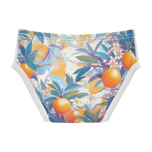 KLL Floral Pattern Orange Fruits Little Boys Comfort Underwear Breathable Undies2