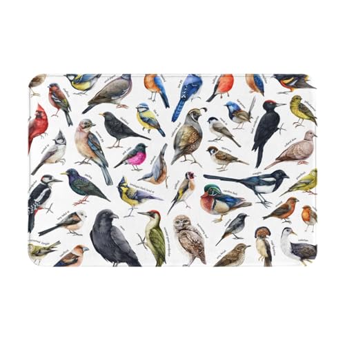 �� ���� �}�� ���� �S�� �I�E�� ���փ}�b�g ���� ���O ���� ����~�� �D���Ƃ� �􂦂� ������� �z�� �ϖ��� �h�L �l�G���p 40×60cm RTHJ31