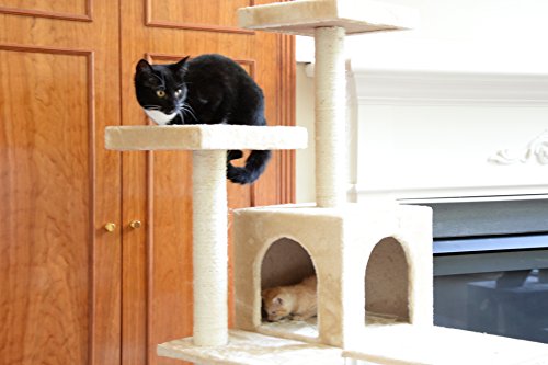 Gleepet Gp78700621 Cat Tree With Ramp, 70-Inch, Beige #TOP1