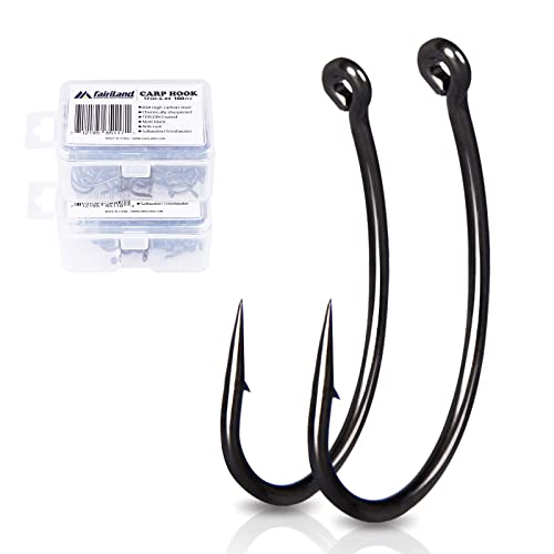 Top 10 Hook For Carp Fishing of 2022 Katynel